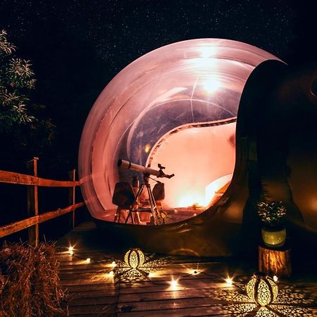 Bed and Breakfast Maso La Marianna Bubble Glamping In Trentino Sant'Orsola Exteriér fotografie