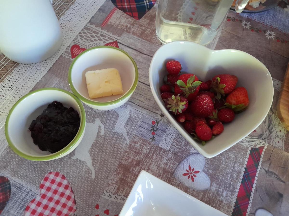 Bed and Breakfast Maso La Marianna Bubble Glamping In Trentino Sant'Orsola Exteriér fotografie