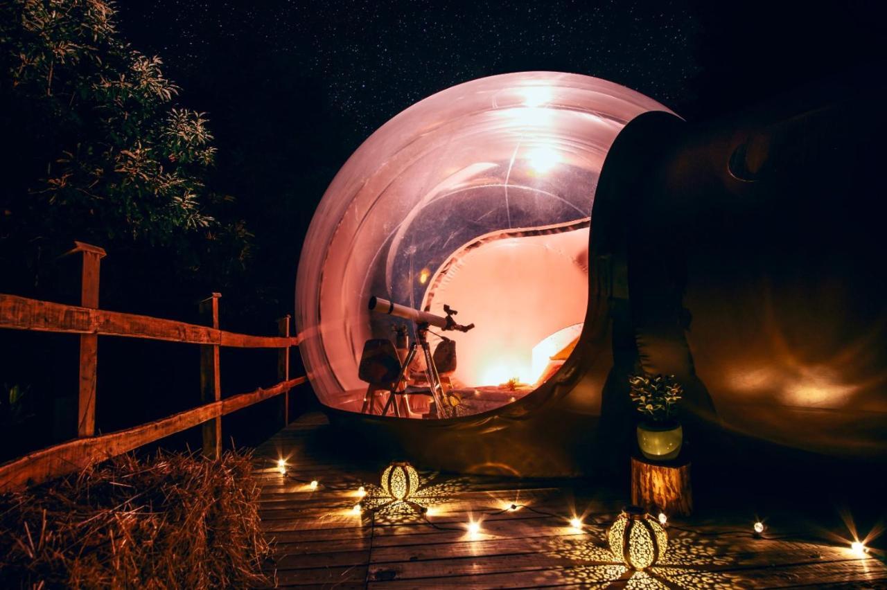 Bed and Breakfast Maso La Marianna Bubble Glamping In Trentino Sant'Orsola Exteriér fotografie